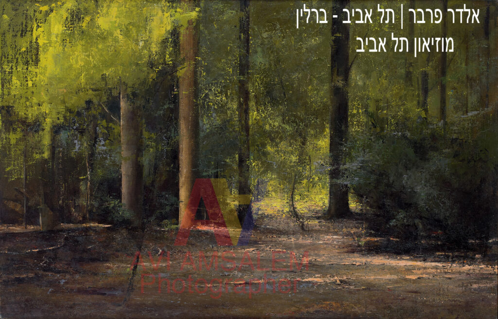 צילום ציורים